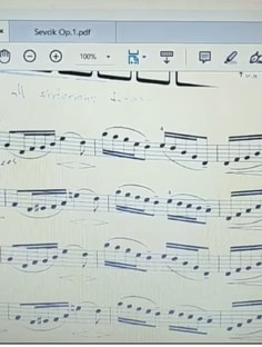 Profile photo of Elizabeth Quintos, undefined tutor at Wiingy