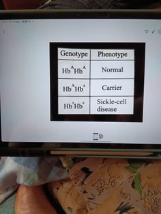 Profile photo of Harshita  Banjhal, undefined tutor at Wiingy