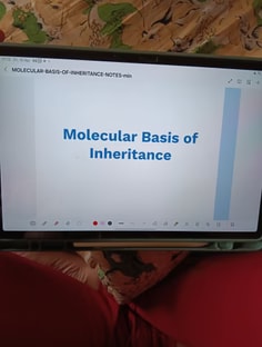 Profile photo of Harshita  Banjhal, undefined tutor at Wiingy