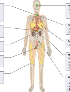 Profile photo of Nader  Sobhi , undefined tutor at Wiingy