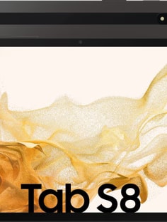 Profile photo of Hugo Pissarra, undefined tutor at Wiingy