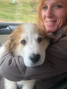 Profile photo of Tammy Scouten, undefined tutor at Wiingy