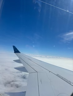 Profile photo of Truvon Hinton, undefined tutor at Wiingy