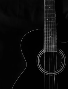 Profile photo of Adam Lapolla, undefined tutor at Wiingy