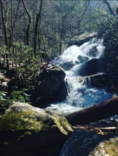 Profile photo of Lee Waldroup, undefined tutor at Wiingy