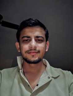 Profile photo of Aryan  Rajawat, undefined tutor at Wiingy