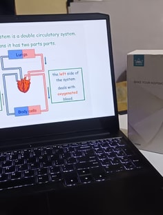 Profile photo of Sankalp Dudhe, undefined tutor at Wiingy