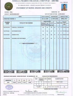 Profile photo of Christina Jenifer, undefined tutor at Wiingy