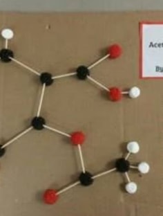 Profile photo of Priyanka  Kumari, undefined tutor at Wiingy