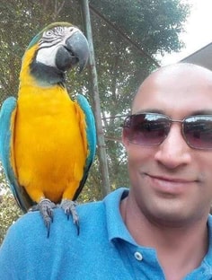 Profile photo of Muhtadi Mohammed, undefined tutor at Wiingy