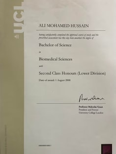 Profile photo of Ali Hussain, undefined tutor at Wiingy