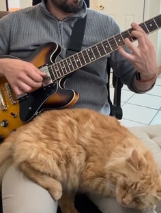 Profile photo of Hector Olea, undefined tutor at Wiingy