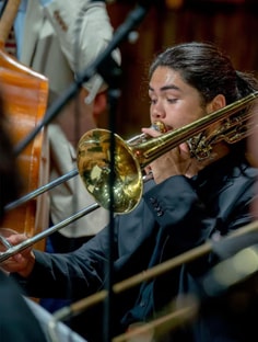 Profile photo of Stephen Paul, undefined tutor at Wiingy