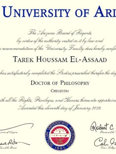 Profile photo of Tarek El Assaad, undefined tutor at Wiingy