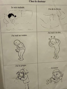 Profile photo of Isis Ibrahim , undefined tutor at Wiingy