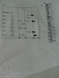 Profile photo of Simran arora, undefined tutor at Wiingy