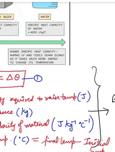 Profile photo of Anjali Narang, undefined tutor at Wiingy