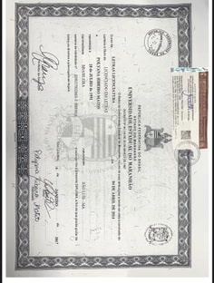 Profile photo of Polyana Matos, undefined tutor at Wiingy