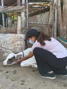 Profile photo of Shilpa Doultani, undefined tutor at Wiingy