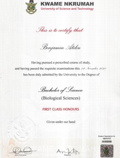 Profile photo of Benjamin Atiku, undefined tutor at Wiingy