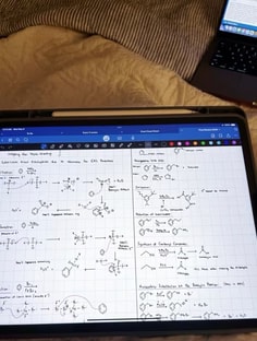 Profile photo of Sarah Igbinoba , undefined tutor at Wiingy