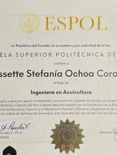 Profile photo of Lissette Ochoa Coronel, undefined tutor at Wiingy