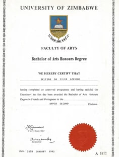 Profile photo of Delfina  Azevedo, undefined tutor at Wiingy