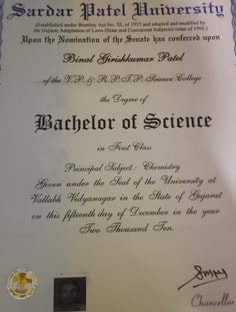 Profile photo of Binal  Patel, undefined tutor at Wiingy