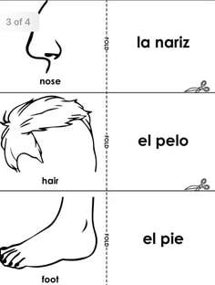 Profile photo of Carlos Zabala, undefined tutor at Wiingy