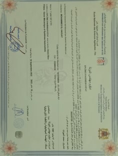 Profile photo of Mohammed elhaouat, undefined tutor at Wiingy