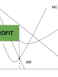 Profile photo of Pasan Perera, undefined tutor at Wiingy