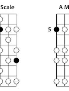 Profile photo of Lance Johnson, undefined tutor at Wiingy