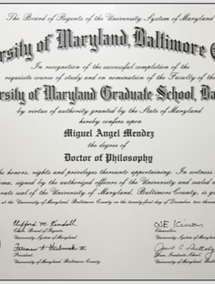 Profile photo of Miguel Angel Mendez , undefined tutor at Wiingy