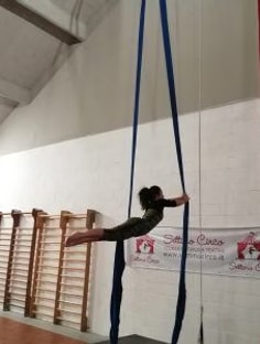 Profile photo of Alessia Orlando, undefined tutor at Wiingy