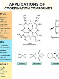 Profile photo of Shreyata Dey, undefined tutor at Wiingy