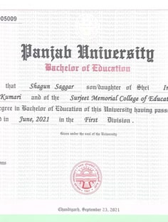 Profile photo of Shagun Saggar, undefined tutor at Wiingy