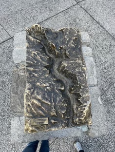 Profile photo of Jose Gonzalez, undefined tutor at Wiingy