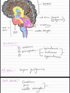 Profile photo of Deepak Tiwari, undefined tutor at Wiingy