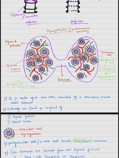 Profile photo of Deepak Tiwari, undefined tutor at Wiingy