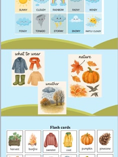 Profile photo of Olga Borisenko, undefined tutor at Wiingy