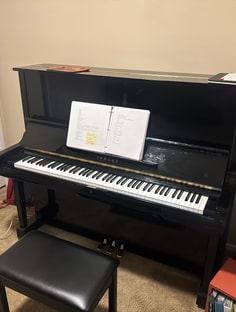 Profile photo of Paulie Caccamise, undefined tutor at Wiingy