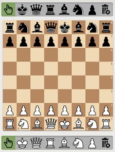 Profile photo of Ritvik Nellutla, undefined tutor at Wiingy