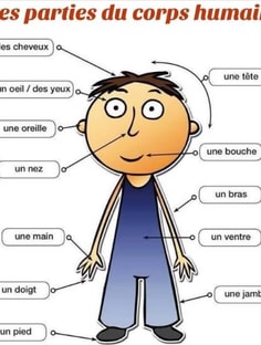 Profile photo of Tassyla Queiroga, undefined tutor at Wiingy