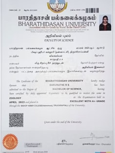 Profile photo of Saru mathi, undefined tutor at Wiingy