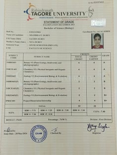 Profile photo of Shambhavi  Dubey, undefined tutor at Wiingy