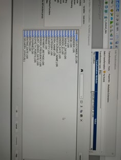 Profile photo of Enayat Kareem, undefined tutor at Wiingy