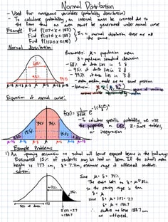 Profile photo of Andrew Tian, undefined tutor at Wiingy