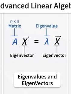 Profile photo of Yehuda  Friedman, undefined tutor at Wiingy