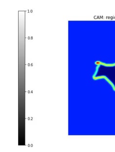 Profile photo of Liam Farhan, undefined tutor at Wiingy