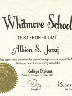 Profile photo of Albion Jazaj, undefined tutor at Wiingy